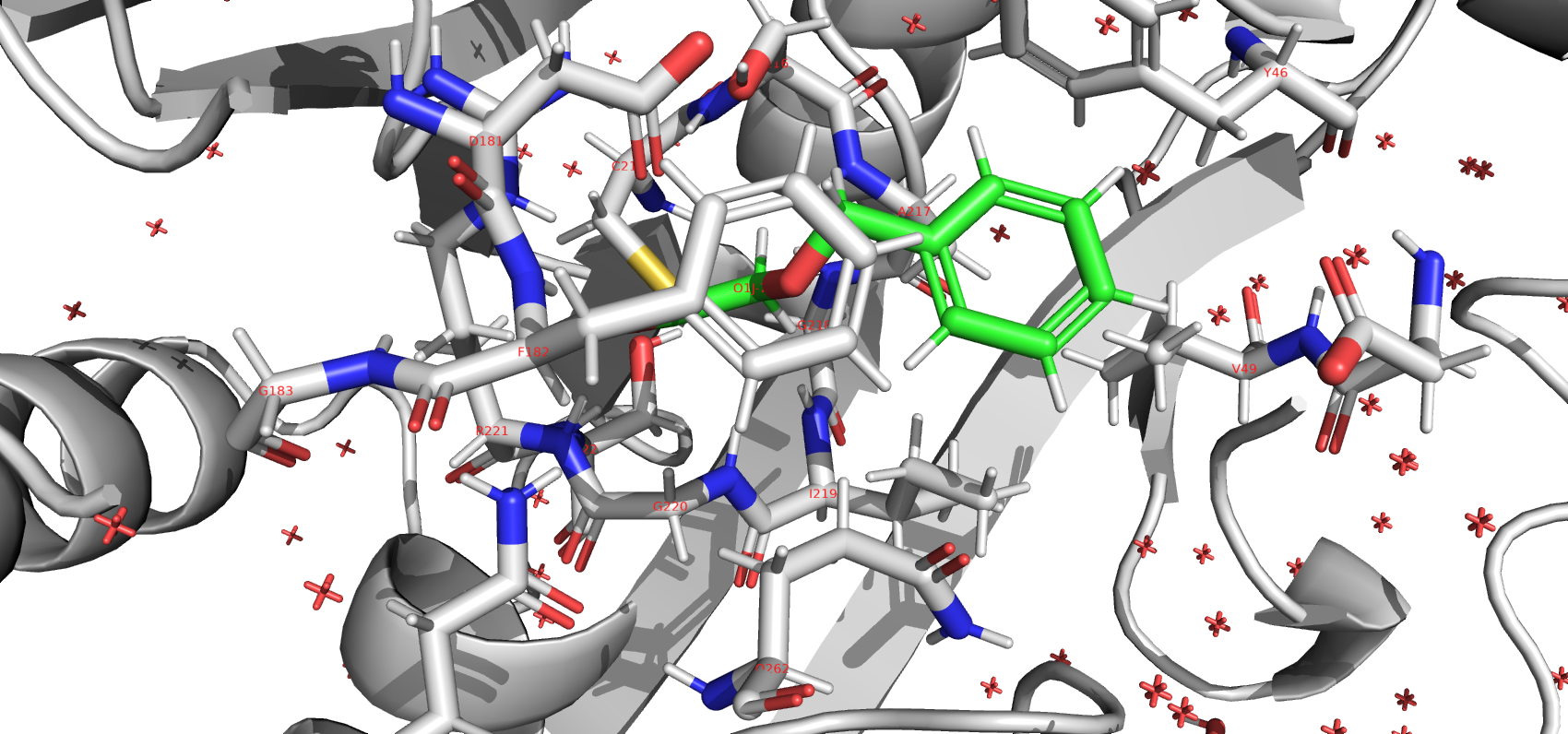 Тут должен был быть белок...