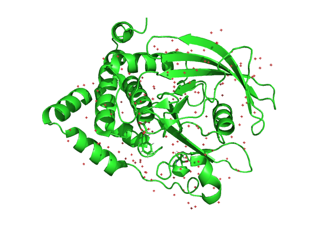 Тут должен был быть белок...