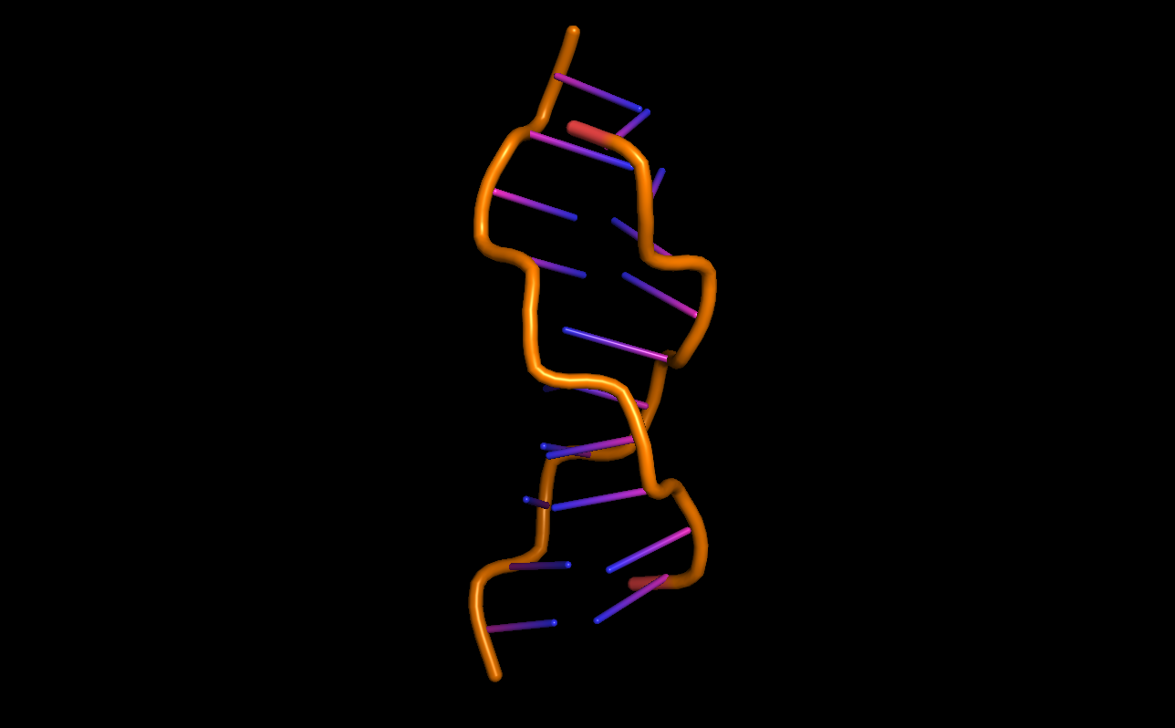 Z-DNA