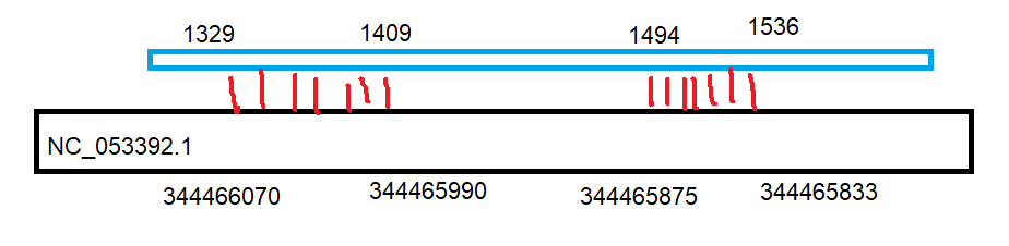 graphic summary tblastx