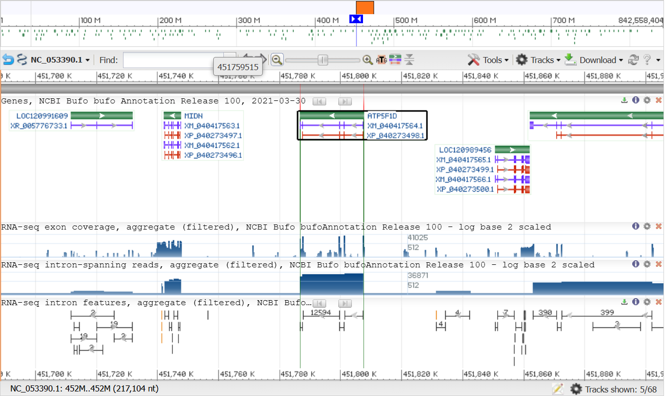 Скриншот из геномного браузера