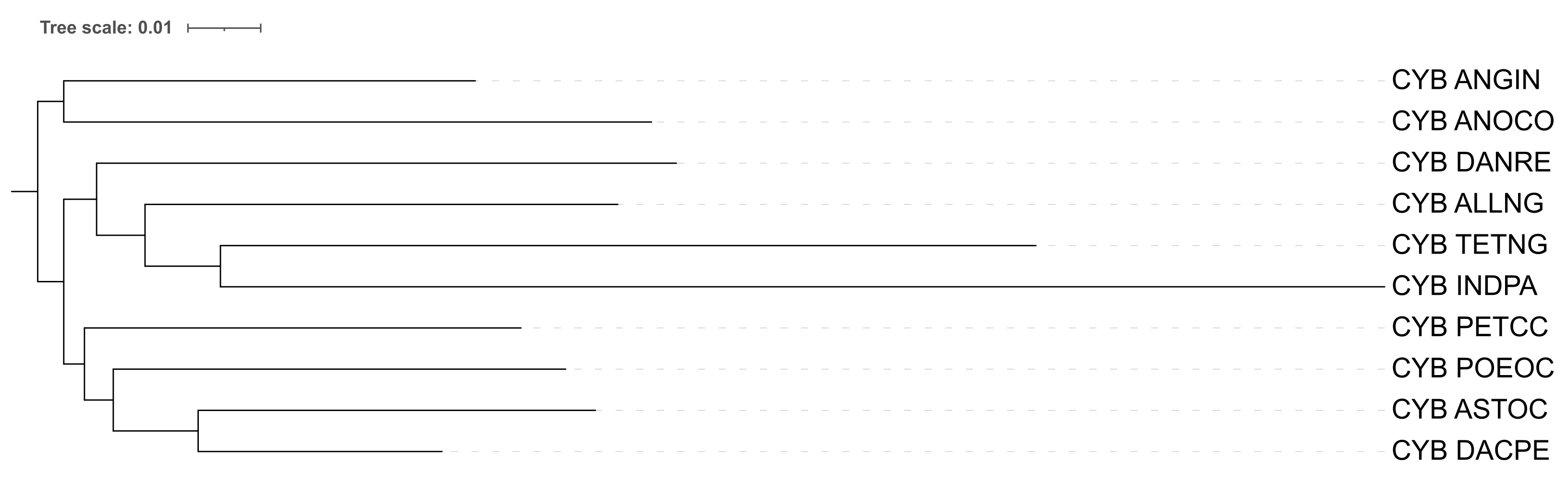 Дерево pdistance
