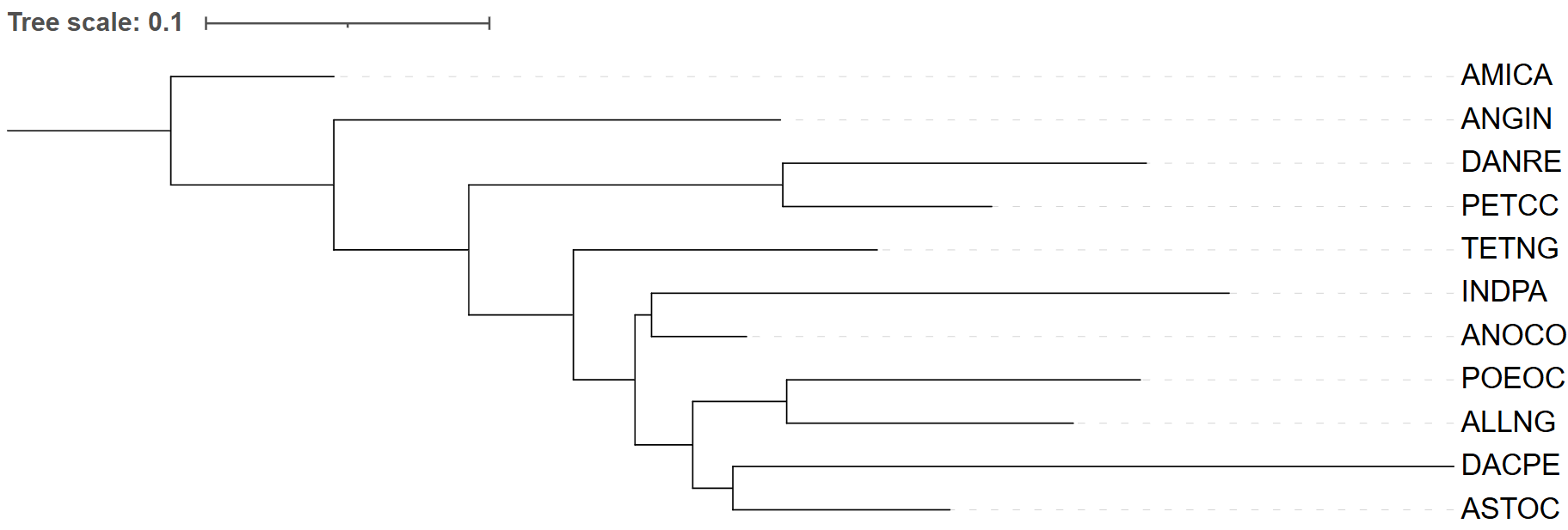 side_iqtree