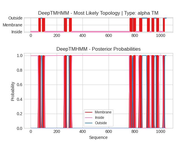 DeepTMHMM posterior probabilities