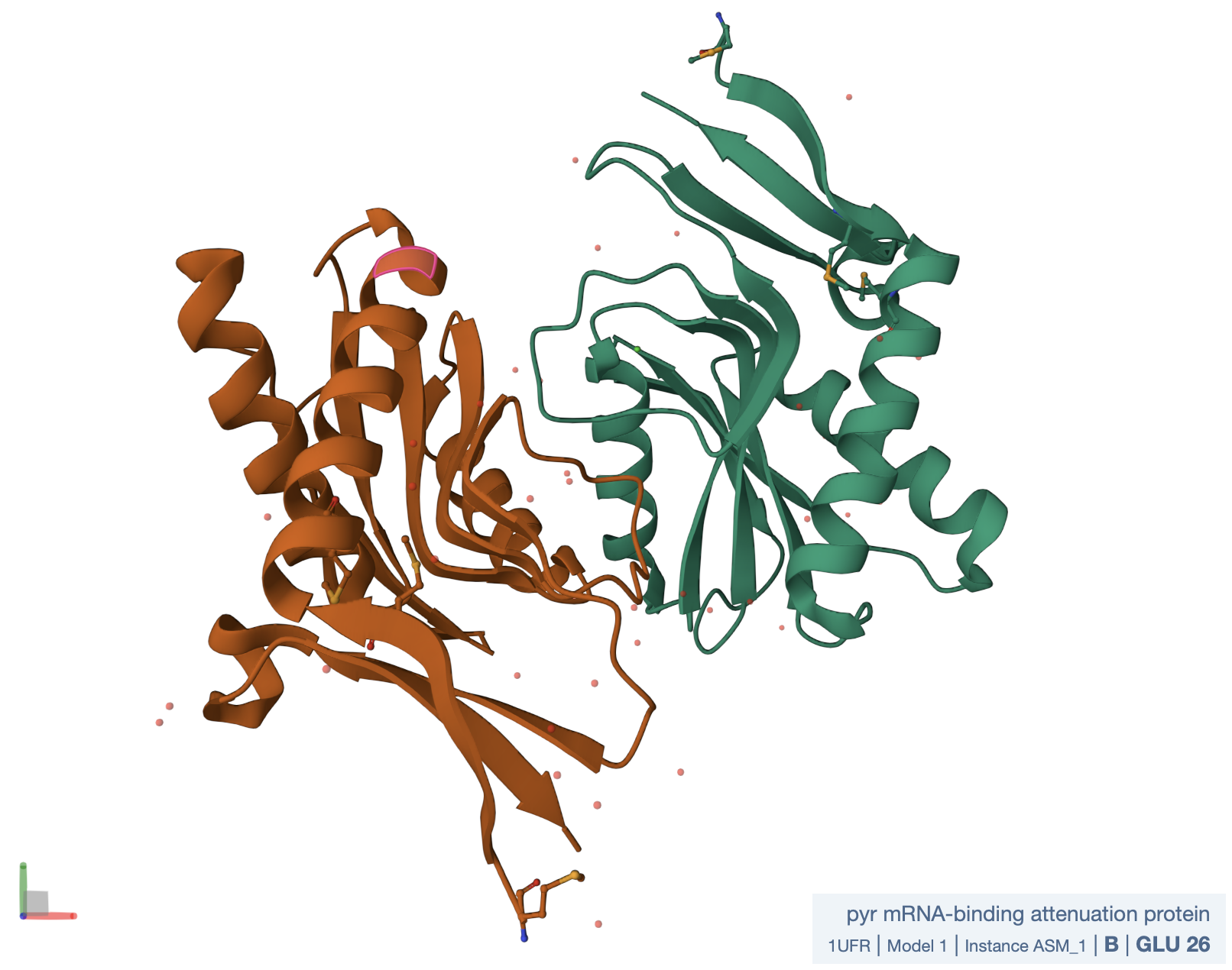тут 3D структура белка из PDB