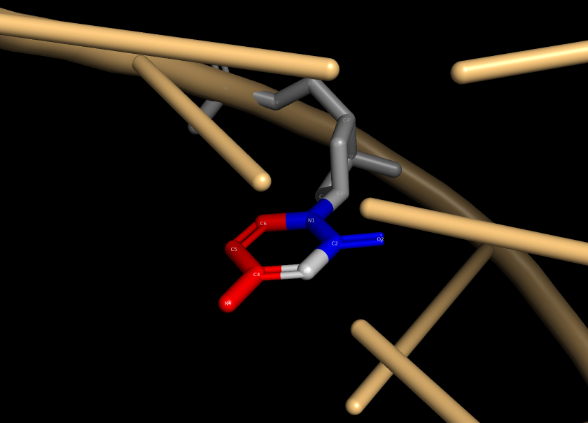Цитозин по отношению к бороздкам pymol
