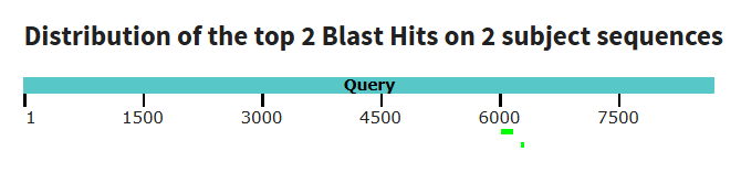 blastn сравнение