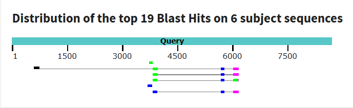 tblastx сравнение