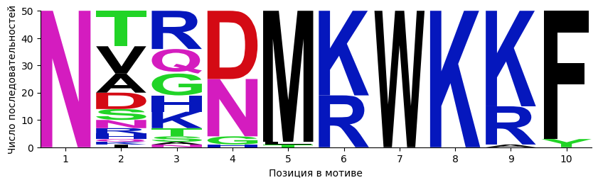 motif 1 logo