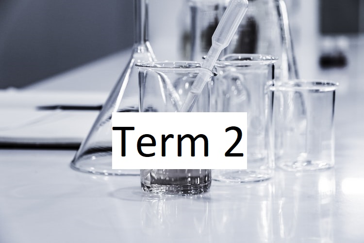 term1