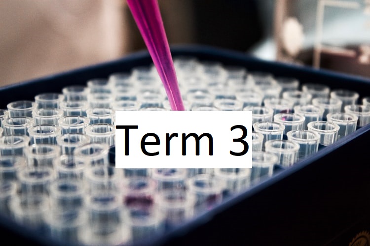 term1