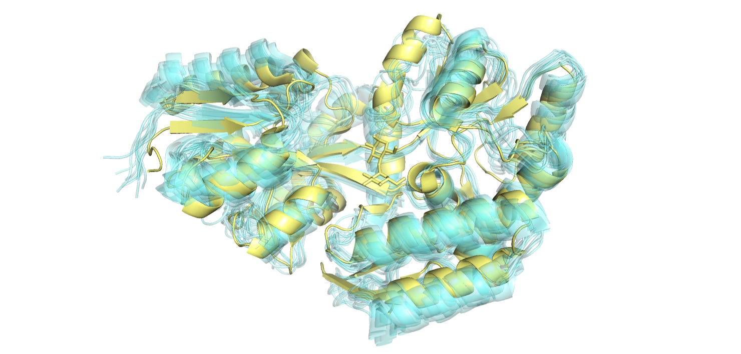 pymol