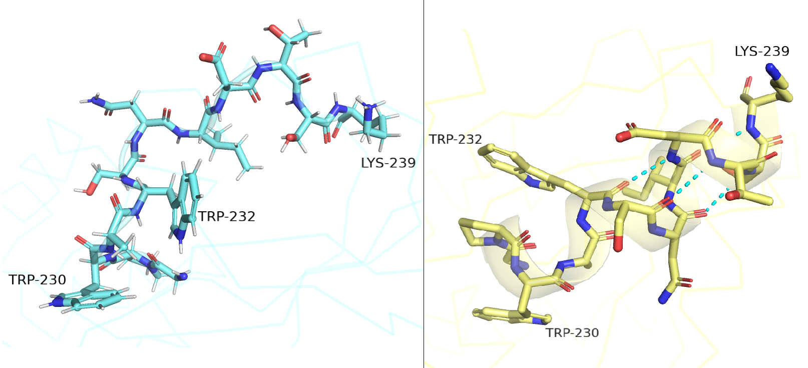 pymol