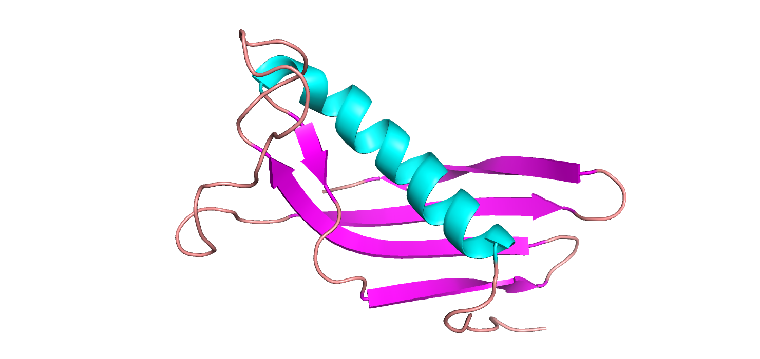 pymol