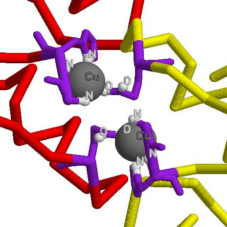 tripeptide
