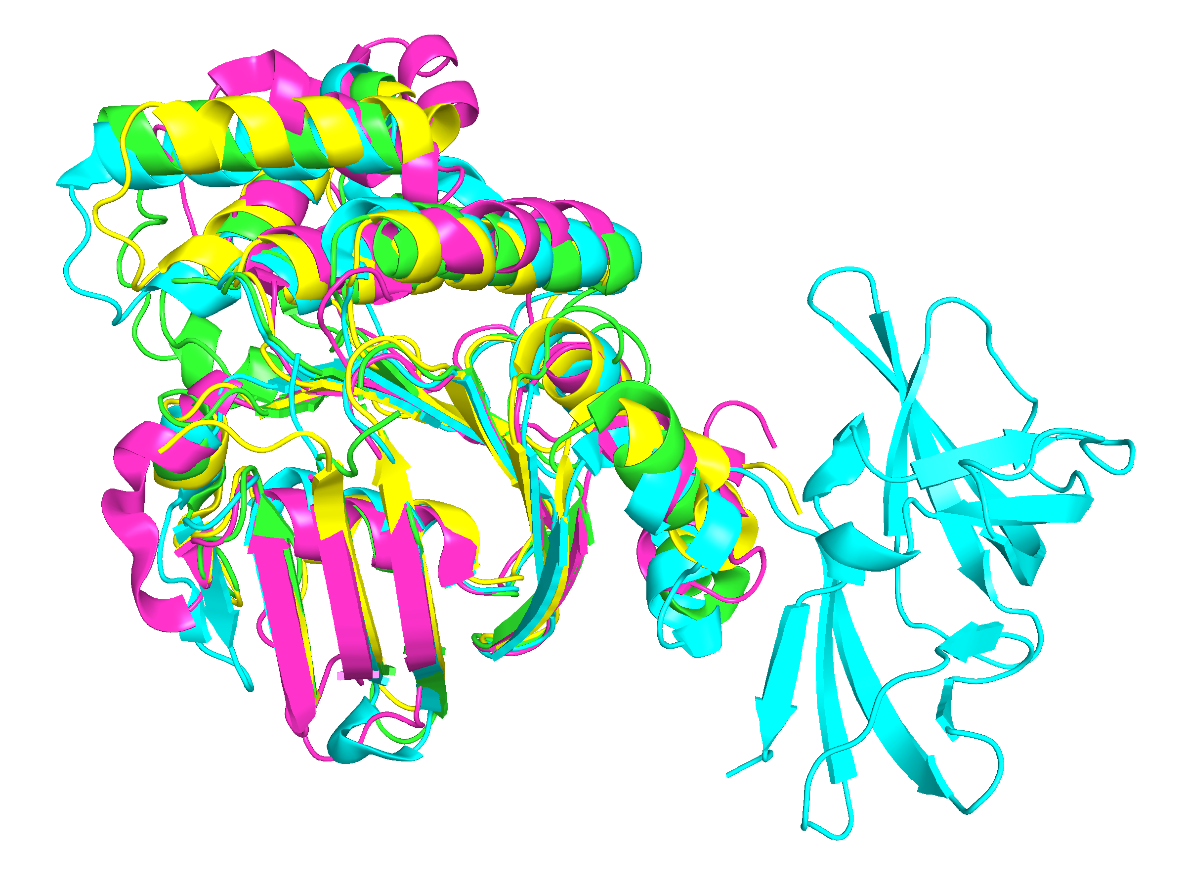 Proteins
