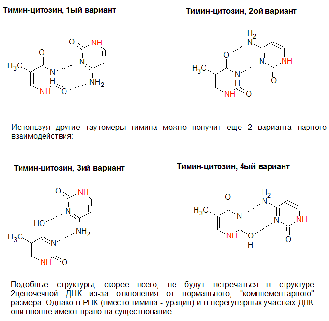 Цитозин строение. Цитозин Тимин структура. Структура Тимина. Структура цитозина.
