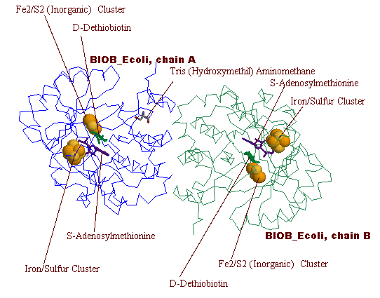 3D-���������