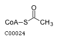 Acetyl-CoA