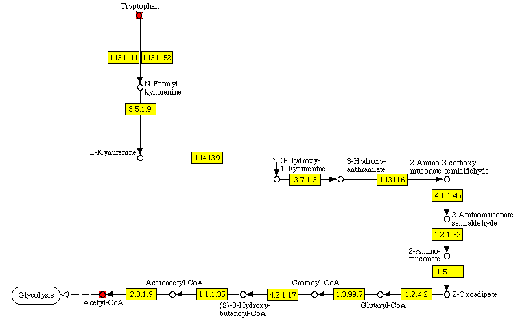 ���������� ���������� �� ���������������� �