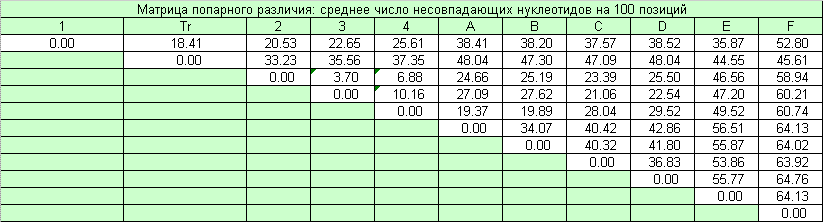 Все про множественное число в английском языке