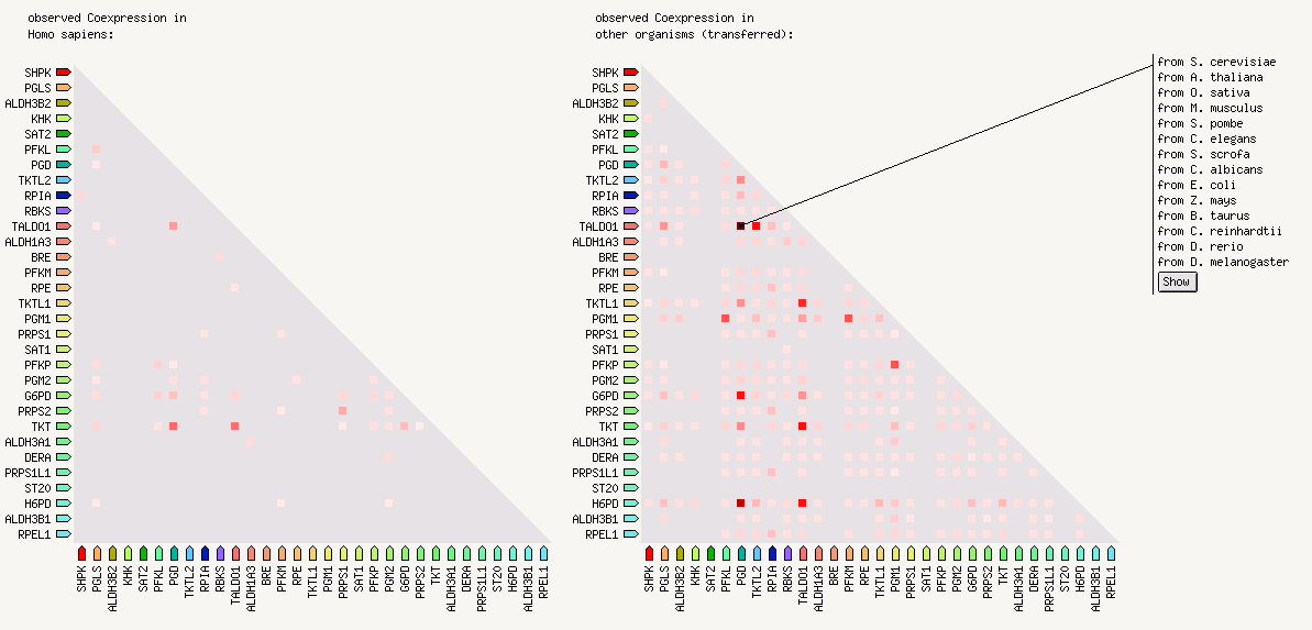 GENE COEXPRESSION