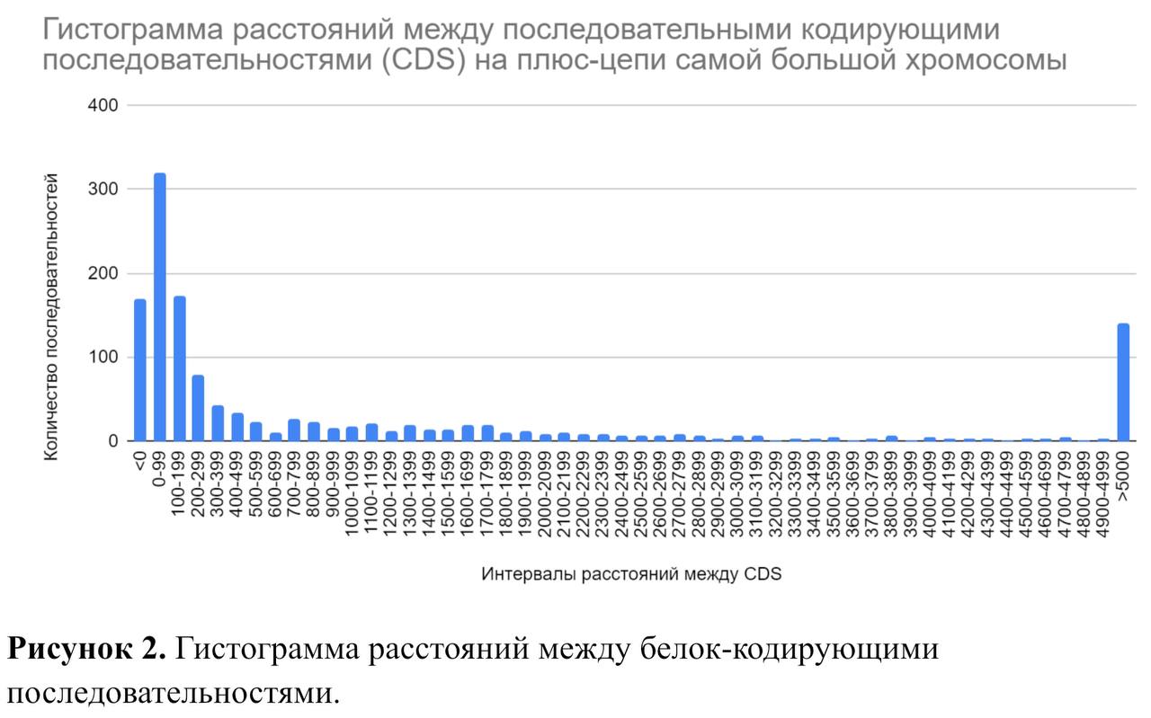 Рис.2