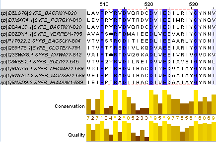 Conserved_domain_2