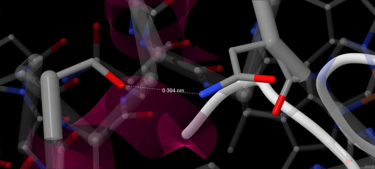 H-bond between Gly18 and Asn78