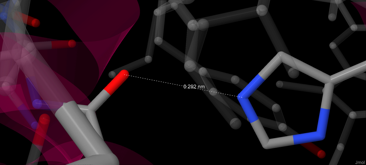 H-bond between His86 and Pro10