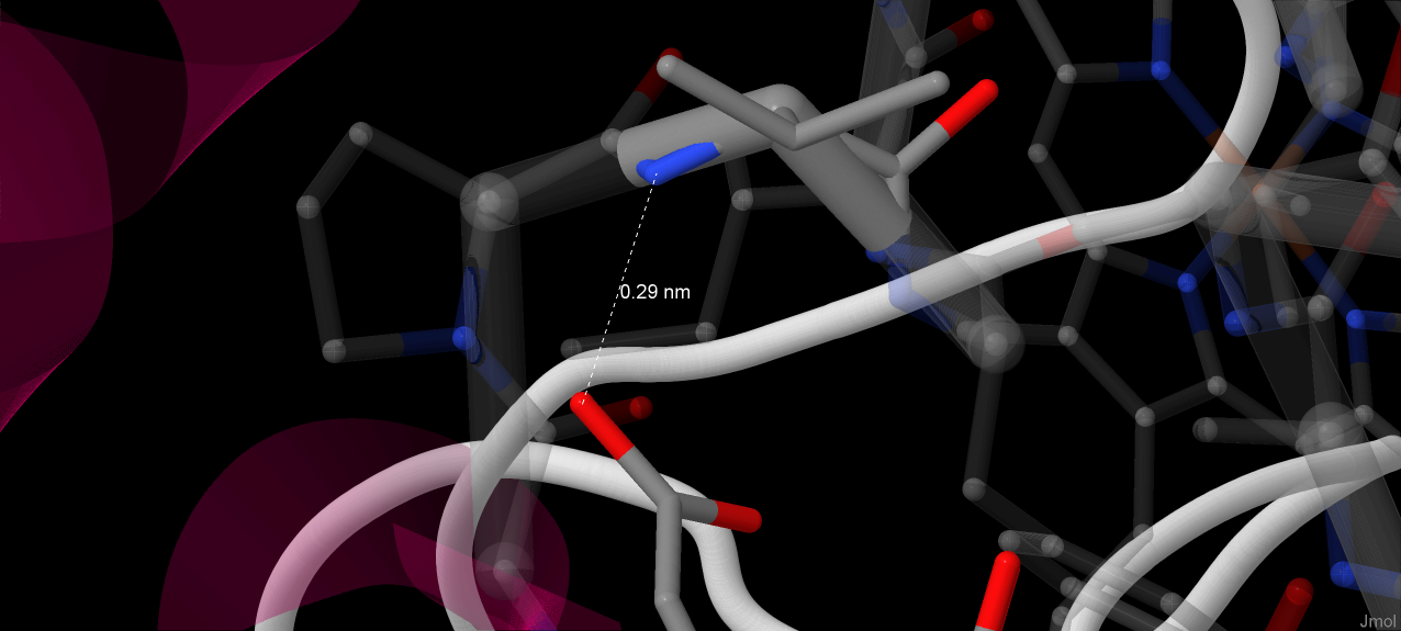 H-bond between Glu11 and Val70