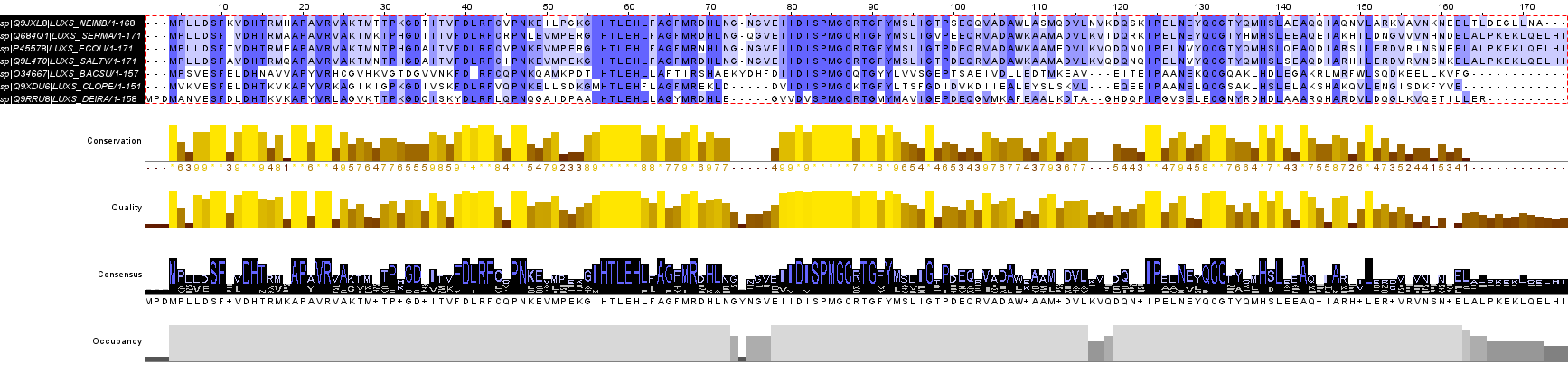 luxs_alignment