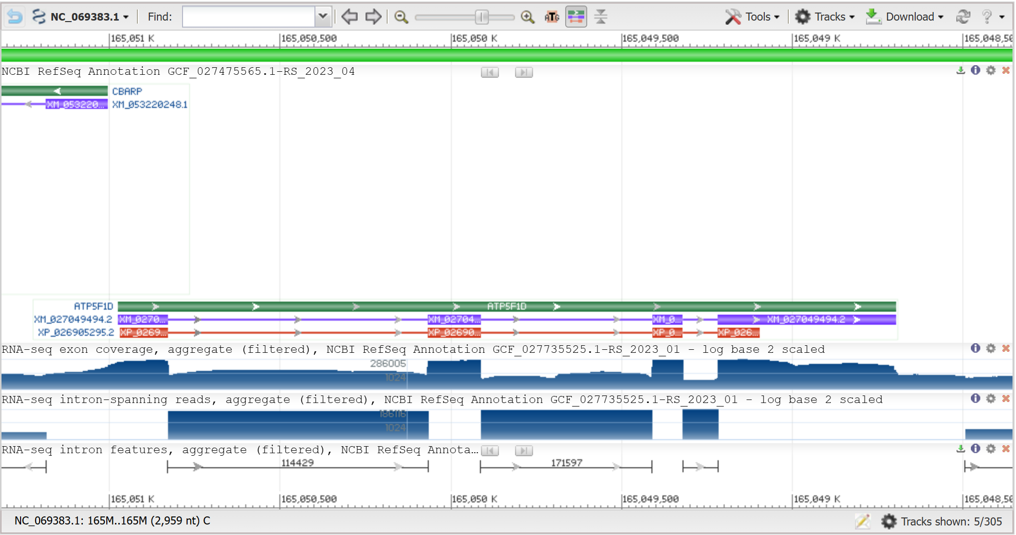 окрестность