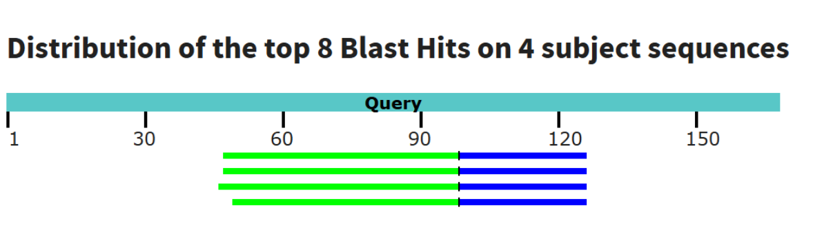 Результаты BLAST для пауков