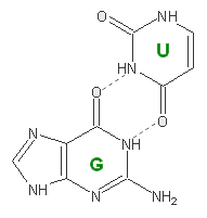 G-U