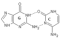 G-C_view