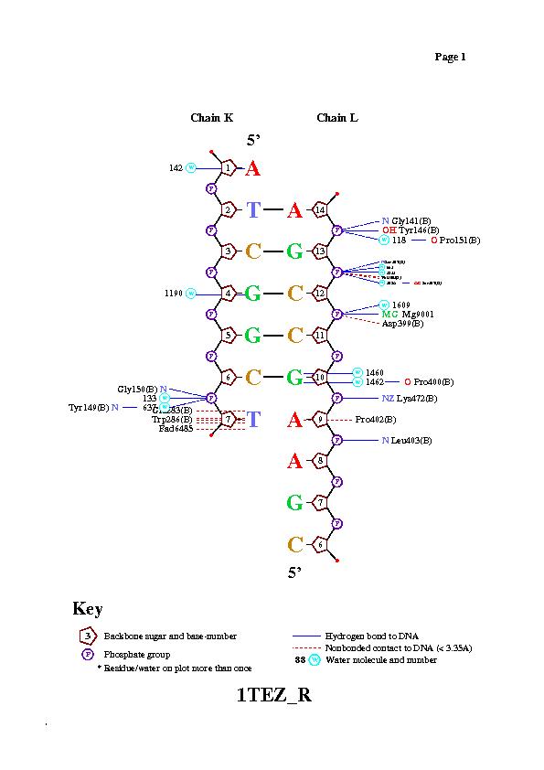 ,   nucplot