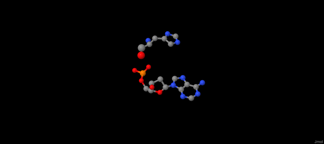 Гистидин и фосфат ДНК
