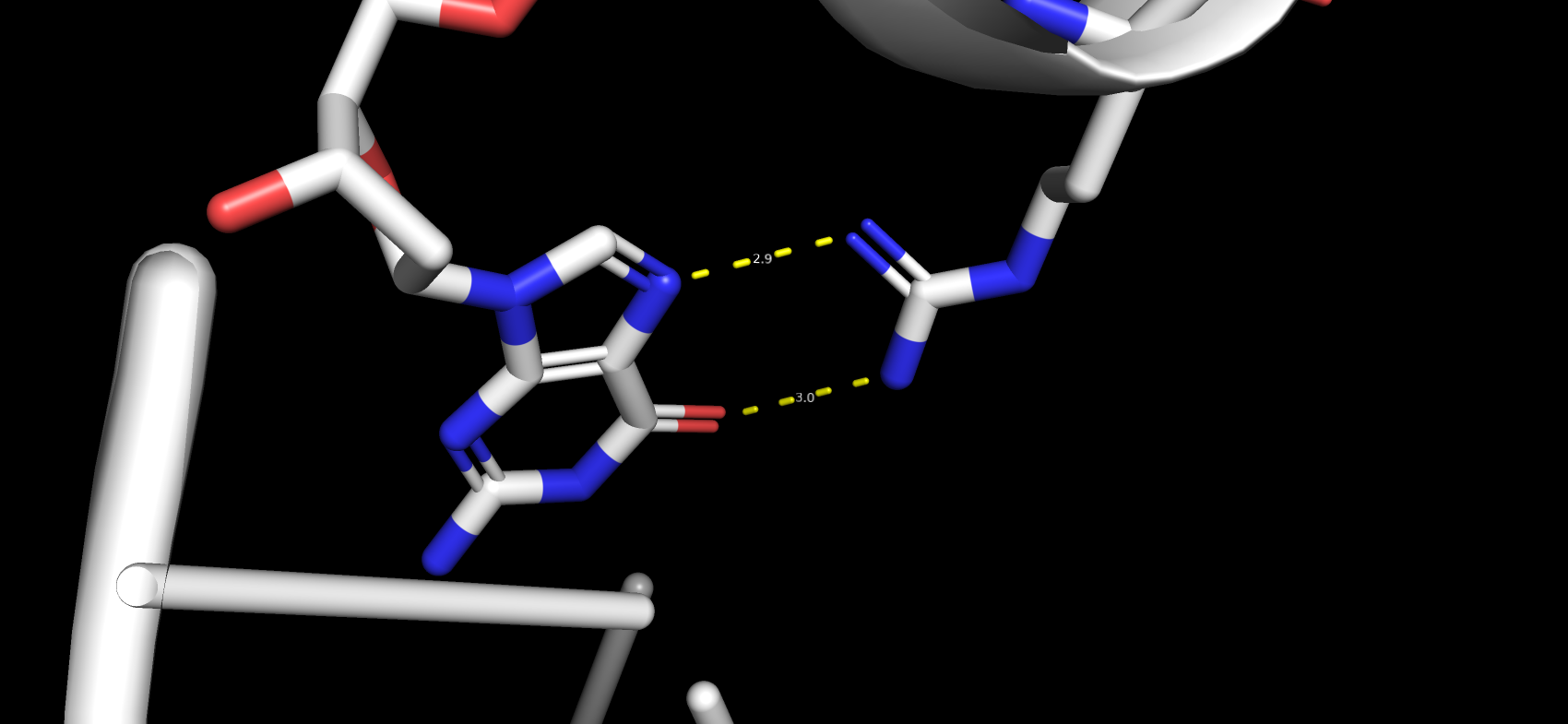 Arg69G