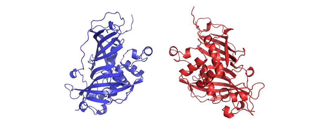 Асимметрическая единица.