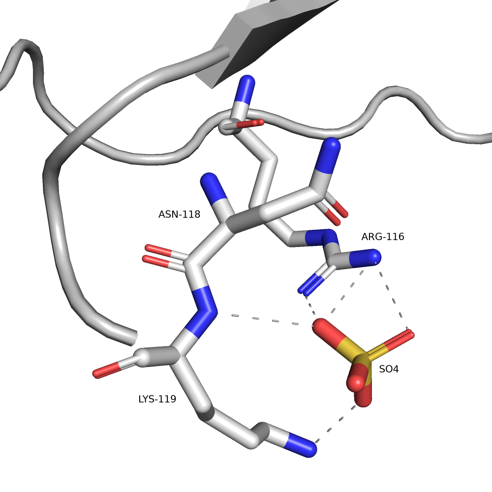 Сульфат-ион и аминокислоты, связывающие его.