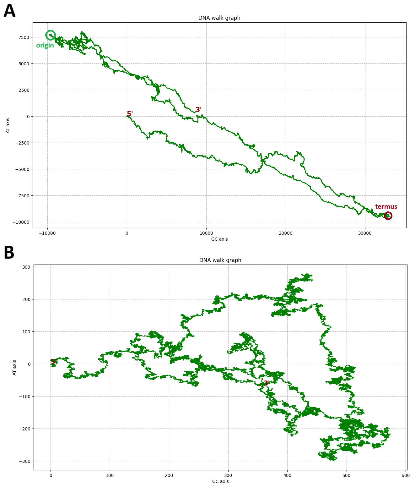 DNA walk graph