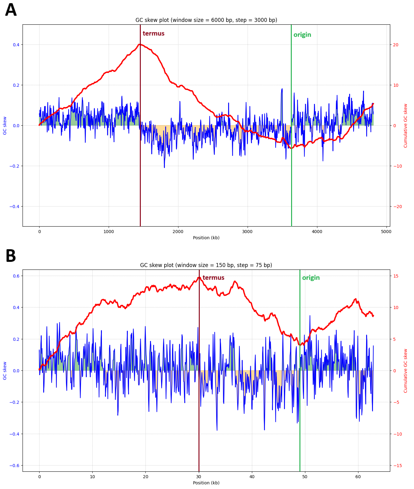 GC-skew
