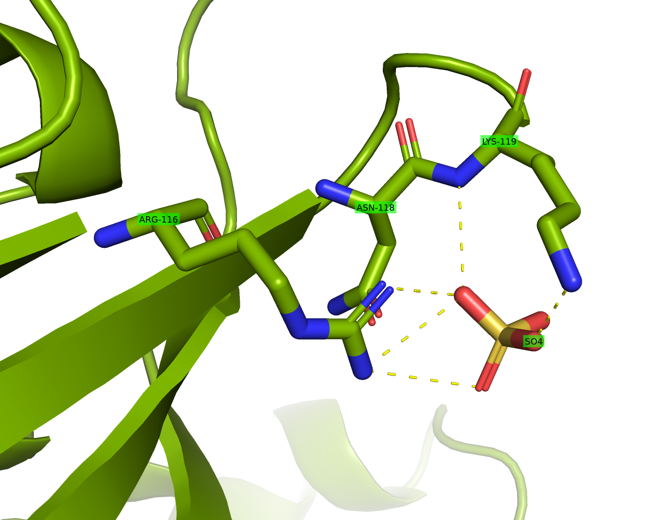 Sulfate-ion environment