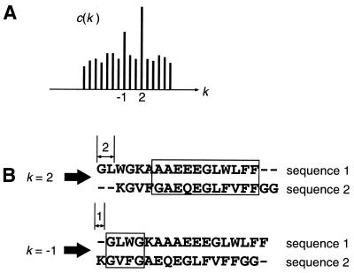 MAFFT correlation
