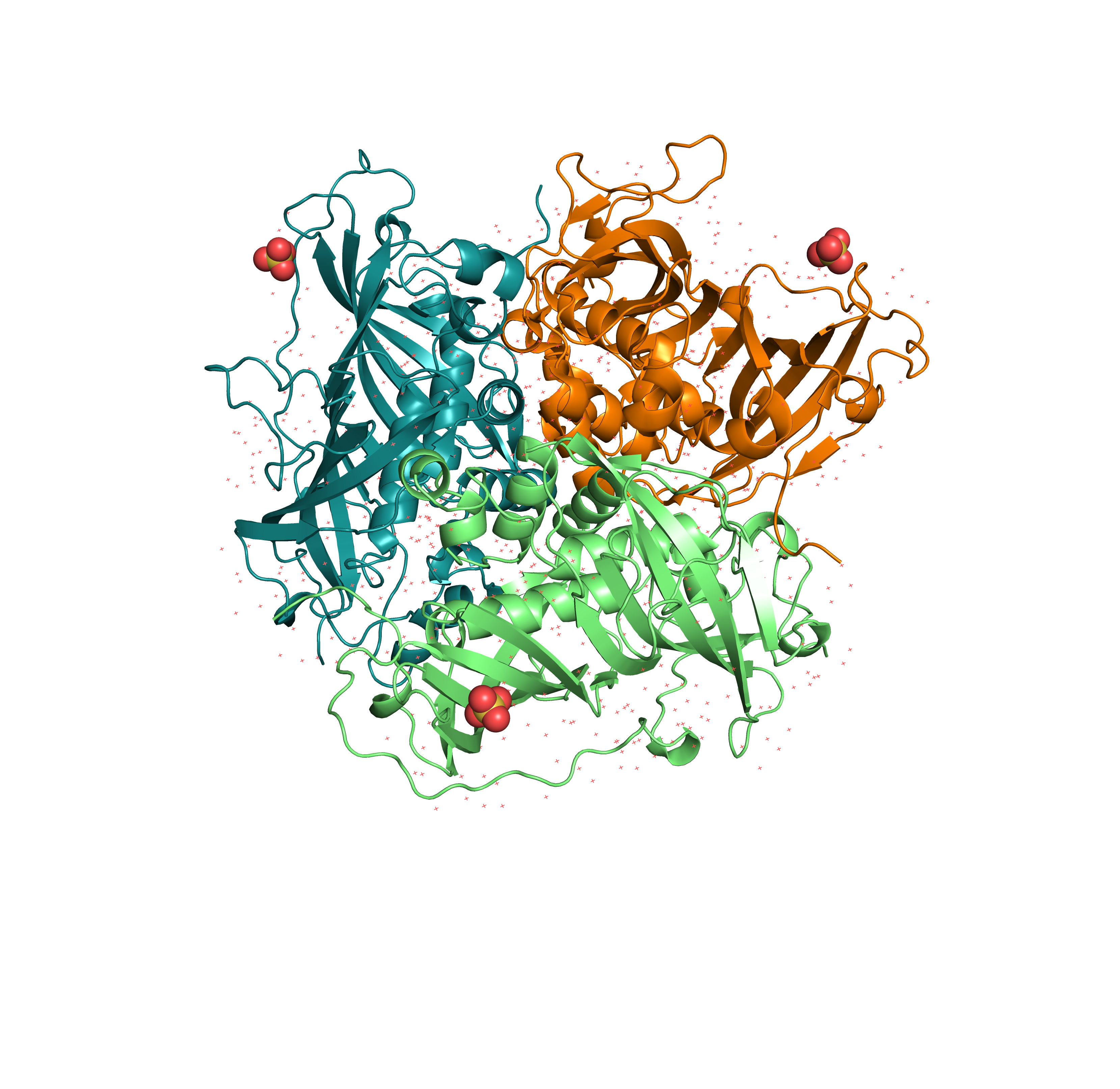 Protein structure