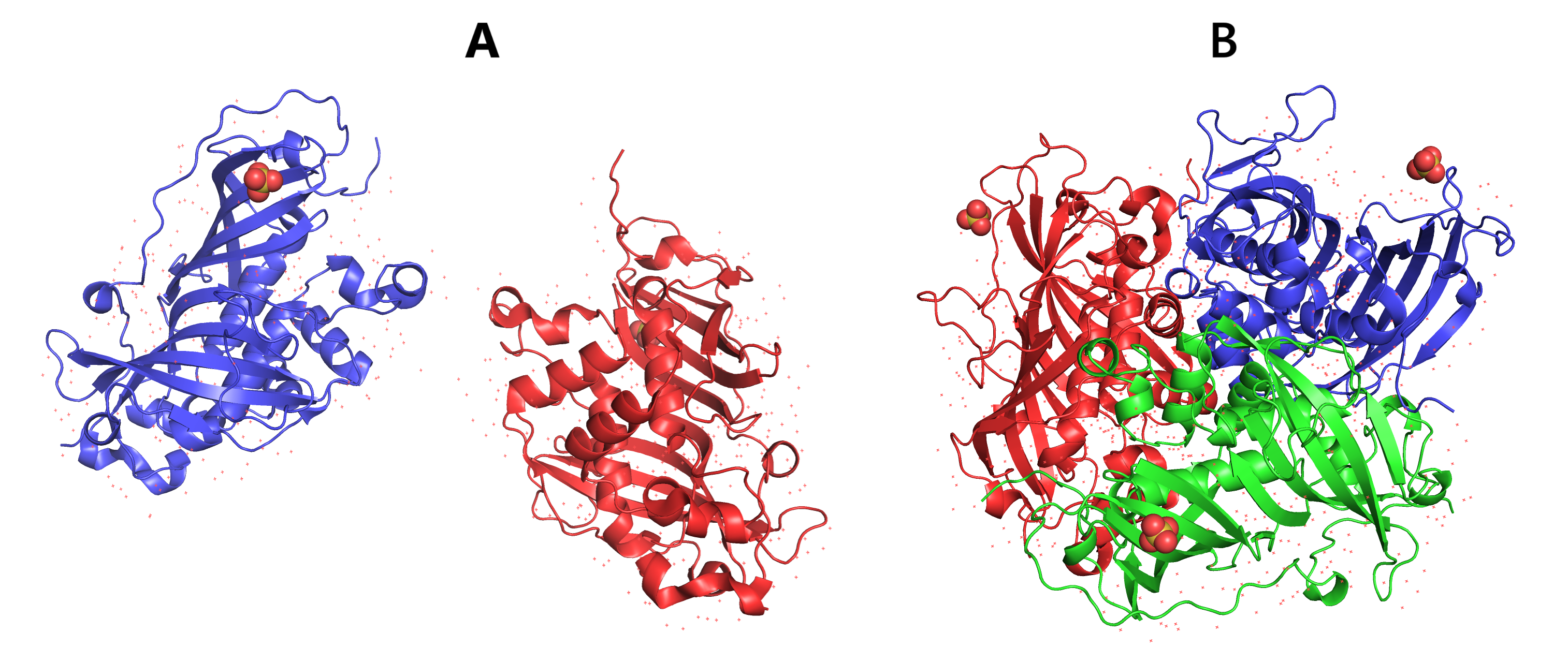 Beta-methylmalyl-CoA dehydratase structure