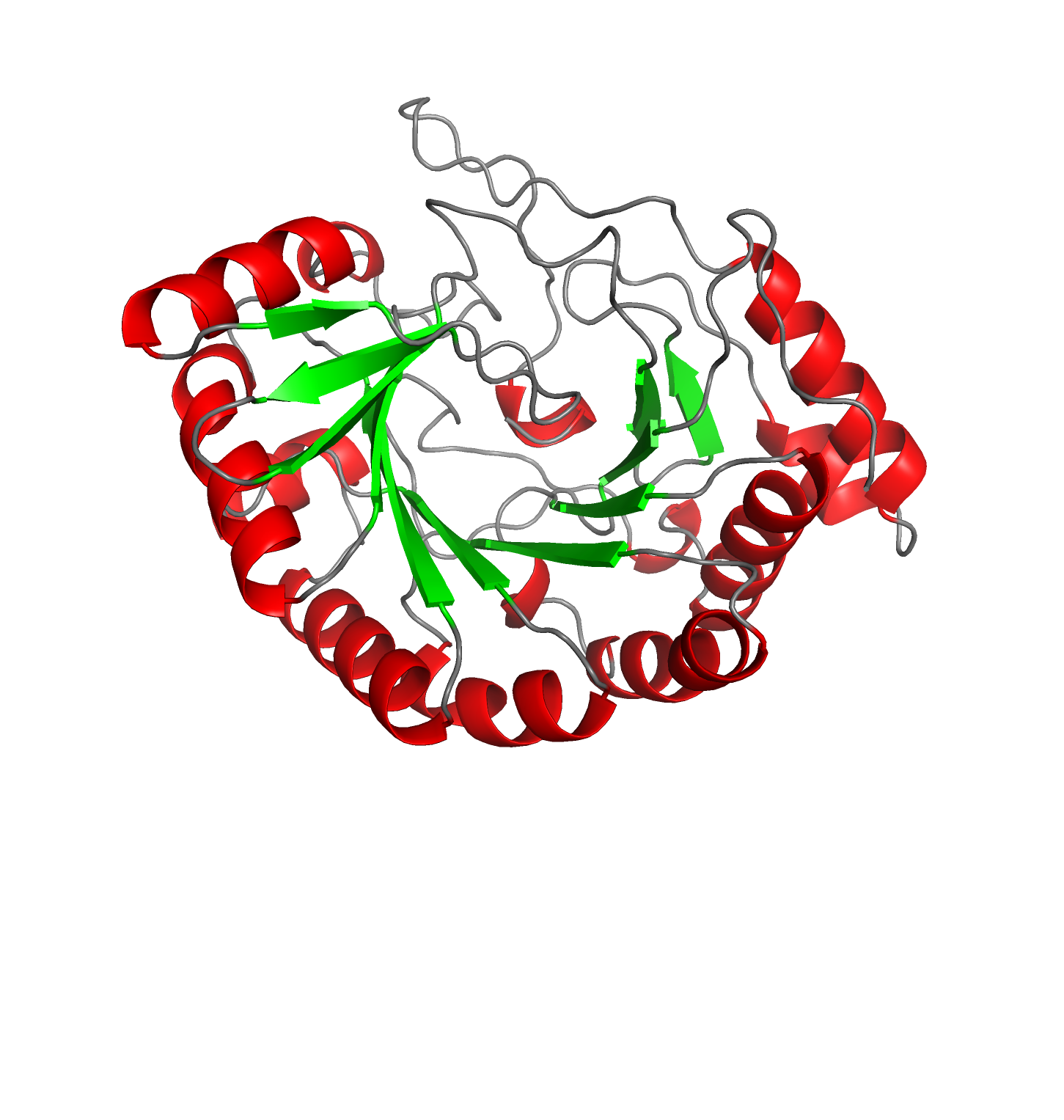 Protein structure