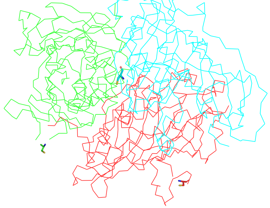 Cysteine residues