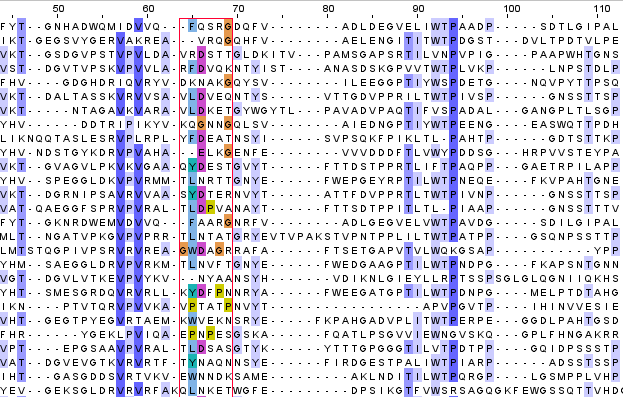 Pyocin S domain alignment